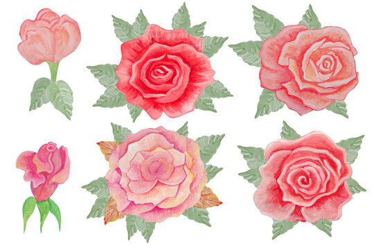 Floral set of different roses painted in watercolor.