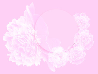 Abstract floral backdrop of pink flowers over pastel colors with soft style for spring or summer time. copy space.