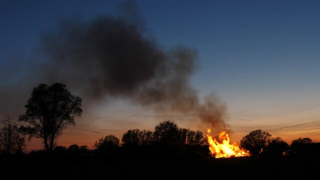 Osterfeuer mit starker Rauchentwicklung. klarer Himmel (D&auml;mmerung) in l&auml;ndlicher Umgebung, Baumreihe