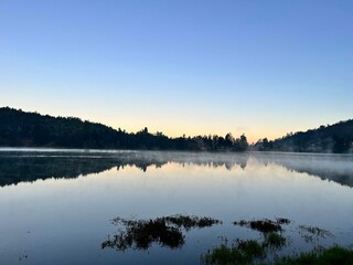Fototapeta premium Bosques y lagos 2