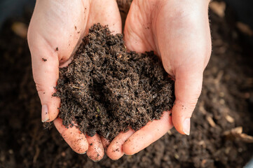 Women holding biological plant soil in her two hands on top of a plant pot on the balcony, high angle view