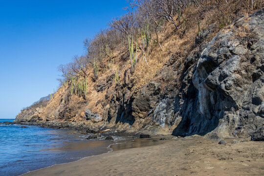 An image of a rocky shoreline in Costa Rica with cactuses and trees growing out of the rocks. The sea and sky are a deep blue and the sand is a golden brown. 