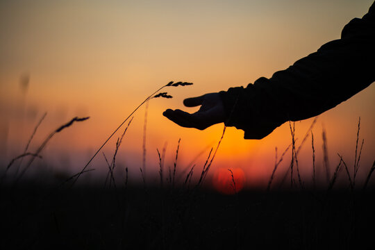 A man's hand touching grass. Caring for the environment. The ecology the concept of saving the world and love nature by human