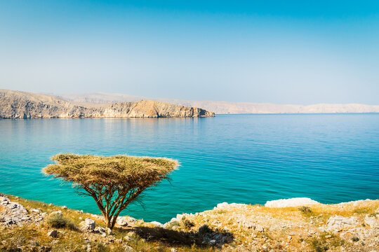 Beautiful sunny arid Oman landscape in persian gulf bay with turquoise sea water, Merillas islands background. Hiking routes and flora.