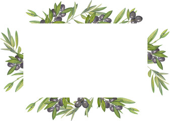 rectangular frame of watercolor drawings of branches of black olives