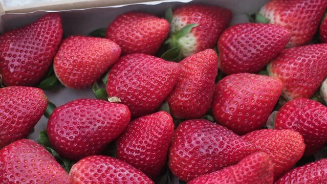 image of fresh strawberries just picked closeup organic healthy food vitamins healthy lifestyle bright red color