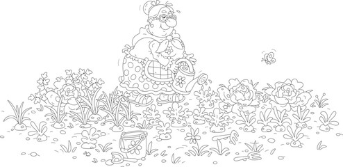 Funny granny gardener watering vegetables in her kitchen garden on a warm summer day, black and white outline vector cartoon illustration for a coloring book