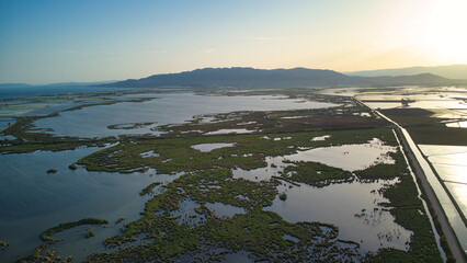 vue aérienne, rizière, delta, réserve ornithologique, Ebre