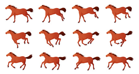 Horse animation. Cartoon horses running gait movements animate frames, walking or galloping race sequence cycle 2d motion run thoroughbred pet concept ingenious vector illustration