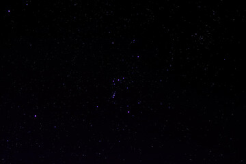 constelacion de orion; tauro y can mayor