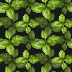 Seamless pattern with green basil leaves. Background for textiles, fabrics, banners, wrapping paper and other designs