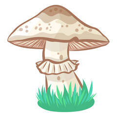 Wild forest champignon vector image