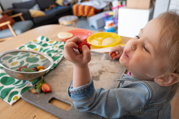 2 year old learns to cut and prepare fruit and veggies to work on picky eating habits; child eats strawberry - obrazy, fototapety, plakaty
