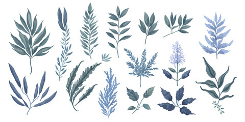 Herb Harvest. A Colorful Vector Set of Flat Herb Elements for Your Design Projects