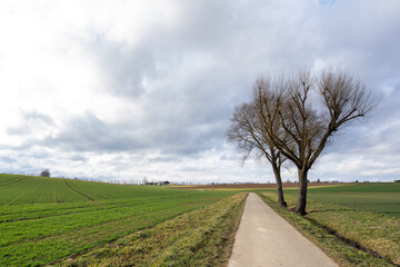 Fototapeta na wymiar Friolzheim Landschaft