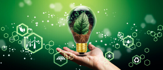 Man´s hands holding bulb as energy efficiency concept. Renewable energy by 2050 Carbon neutral...