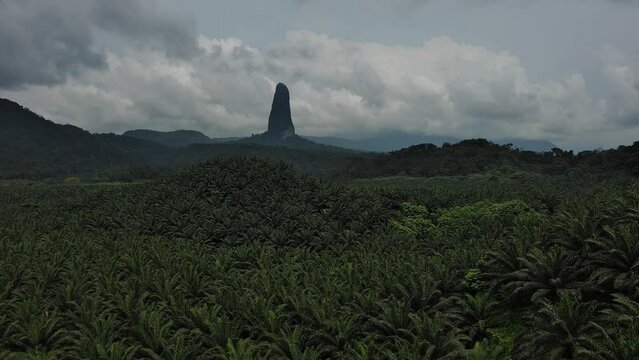 Pico Cão Grande and palm plantations in Sao Tome