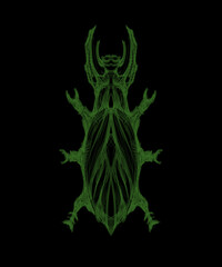 insect, sketch - digital painting © neurostructure