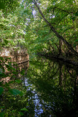 Forest lined Yerres river in Montgeron, France