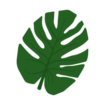 Green palm leaf. Cartoon vector illustration. Sticker, logo, tropical style logo
