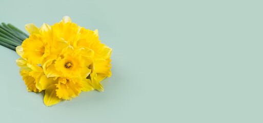 Bouquet of yellow bright daffodils flowers, Easter bells on green background. Blooming spring flowers. Mockup, template for holiday, mother's day. Banner, header, top view, flat lay with copy space.