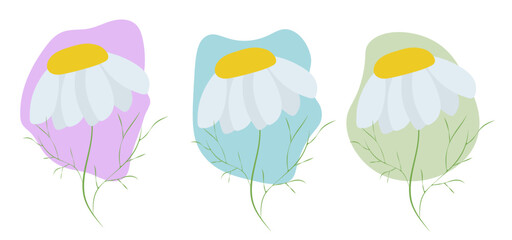 Chamomile on an abstract background. simple cartoon illustration of flowers