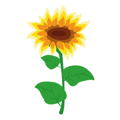 Cartoon sunflower on a light background. Ukrainian vector illustration in flat style. Yellow flower sticker