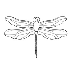 Engrave isolated dragonfly hand drawn graphic illustration