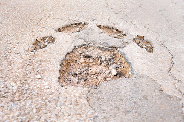 Broken road shaped like giant cat or dog paw.
