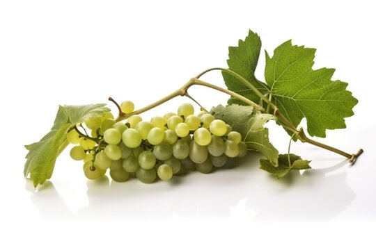 Vine of fresh green grapes, isolate on white background. Sprig of organic natural food. AI generated.