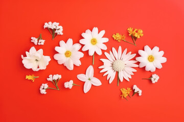 Beautiful white flowers on a red background. Generative AI