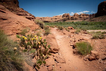 Utah Trail