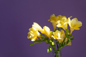 bouquet of yellow irises