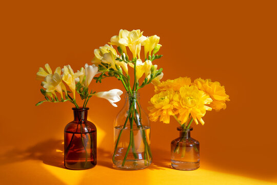 yellow flowers in a vase