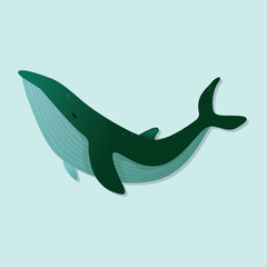 Cartoon set of whales. Humpback whale,, blue whale,, bowhead, southern right whale. Underwater world, Marine life. Vector illustration of a whales icon isolated on background. Sea and ocean animals