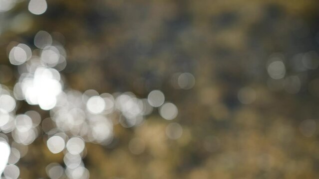 Flickering sunny circle bokeh background. Blurred sunny river in the forest.