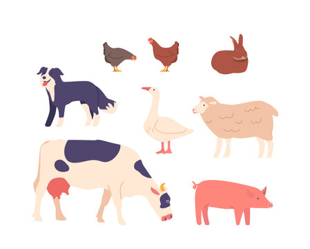 Set of Farm Domesticated Animals Icons Cow, Pig, Sheep And Chicken, Dog or Rabbit on Farmyard. Meat, Milk, Or Eggs