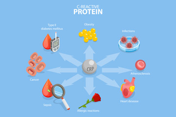3D Isometric Flat Vector Conceptual Illustration of C-reactive Protein, Risk of Developing Different Diseases