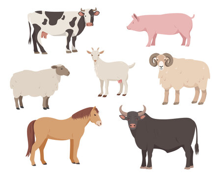 Farm or domestic animal icons isolated on white background. Set of farm animals in different poses and colors. Cow, bull, sheep, pig, ram horse and goat. Vector flat or cartoon illustration.