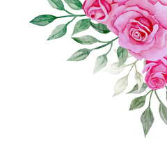 Isolated object-122. Bouquet of pink roses 6, hand drawn watercolour illustration.