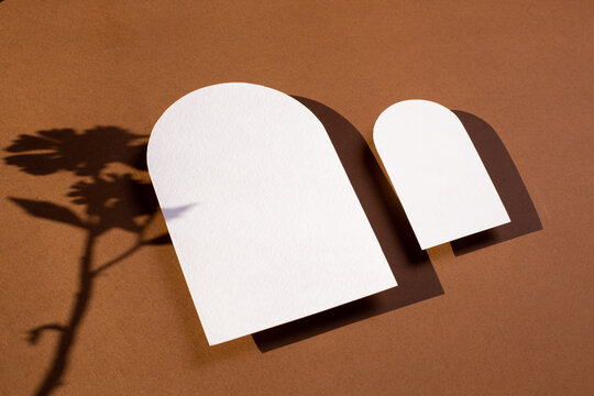 Modern minimal design. Business card different arch shape in vintage style. Modern abstract white card with yellow flower with hard shadow .  Trend color 2025 Mocha Mousse