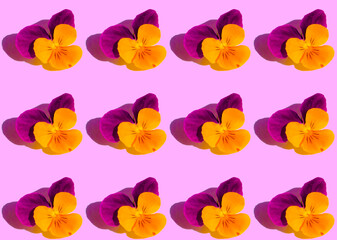 pansies flowers print on pink background diagonal
