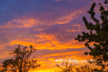 Bright sky with clouds at sunset and silhouettes of trees on a spring evening in the countryside.