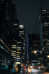 Fototapeta na wymiar Toronto at night. 