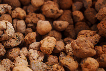Expanded clay. small lumps of clay used in construction and for growing plants.