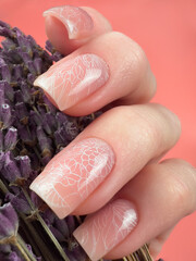 Gentle neat manicure on female hands on a background of dry flowers.