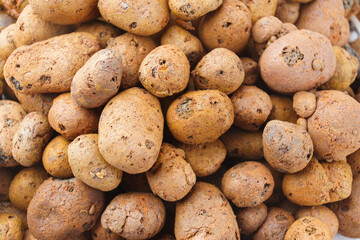 Expanded clay. small lumps of clay used in construction and for growing plants.