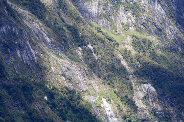 Fiordland National Park Mountain Steep Side