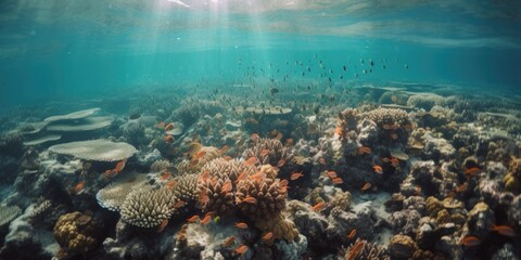 Fototapeta na wymiar beautiful coral reef, marine tropical fish, generative ai