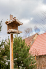 A hand made bird house decorated in a garden makes our backyard beautiful. Birds creates a fresh atmosphere in the backyard. Empty bird box.